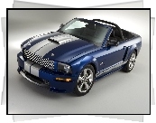 Ford Mustang Shelby GT Cabrio