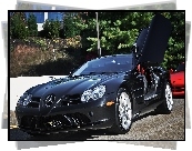 Mercedes Benz SLR McLaren, Ulica, Drzewa