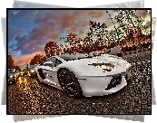 Lamborghini Aventador, Droga, Bruk