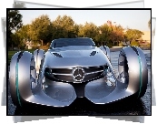 Mercedes Biome Concept