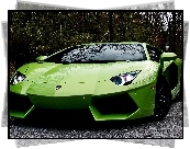 Zielony, Lamborghini Aventador