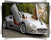 Spyker C8 Aileron, Plac, Drzewa