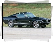 Ford Mustang GT 500