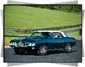 Pontiac Firebird, Cabriolet