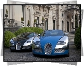 Niebieski, Czarny, Bugatti Veyron, Zamek