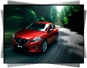 Mazda 6, Droga, Las