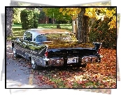 Cadillac, Eldorado, 1956