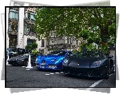 Niebieski, Bugatti Veyron, Czarne, Lamborghini Aventador