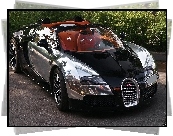 Bugatti Veyron 16.4 Grand Sport