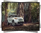 Ford Explorer, Las