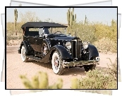 Samochód, Zabytkowy, Cadillac V 12