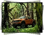 Ford, Raptor, Dżungla
