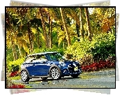 Mini, Cooper F56, Droga, Palmy