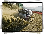 Rajdowy, Citroen, DS3, WRC