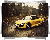 Audi R8, Las, Droga