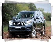 Toyota, Land Cruiser, Prado TX, Droga