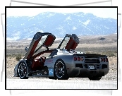 SSC, Ultimate, Aero