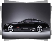 Maybach, Exelero