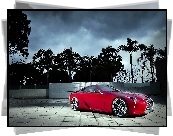 Czerwony, Lexus, LF-LC, 2012, Palmy