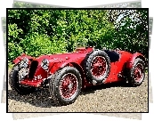 Retro, Aston, Martin, 1939, Roślinność