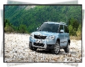 Skoda, Yeti, Las, Kamienie