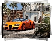 Bugatti Veyron Vitesse, Ulica, Palmy