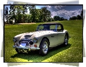 Austin, Healey 3000, Brytyjski, Zabytkowy, Samochód, Sportowy