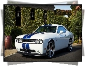 Dodge Challenger SRT8, Dom