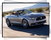 Ford Mustang, Convertible