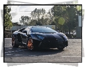 Lamborghini, Aventador, Drzewa