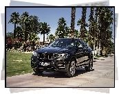 BMW X6 F16