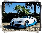 Bugatti Veyron, Palmy