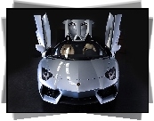 Lamborghini, Aventador, LP 700-4, Roadster
