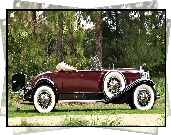 Samochód, Zabytkowy, Packard, Deluxe, 1931