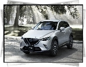 Mazda, CX-3