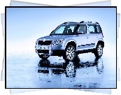 Srebrna, Skoda, Yeti