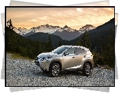 Lexus, NX200t