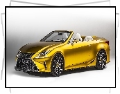 Lexus, LF-C2