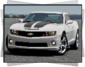 Chevrolet Camaro, Szary