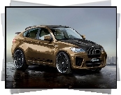 BMW, X6, G- Power