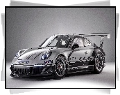 Wyścigowe, Porsche, GT3