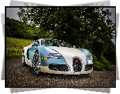 Bugatti Veyron, Droga, Drzewa