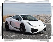 Lamborghini, Superleggera, Gallardo