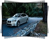 Lexus, GS 350, Drzewa