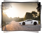Białe, Lamborghini Aventador