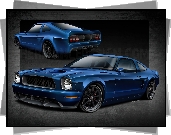 Ford Mustang, V10, Triton Edition