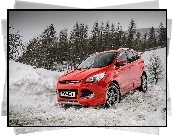 Ford Kuga, Śnieg