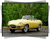 Jaguar e-type 1968