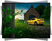 Porsche Cayman GT4, Dom, Drzewa, Ptaki