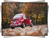Jesień, Drzewa, Samochód, Volkswagen, Garbus